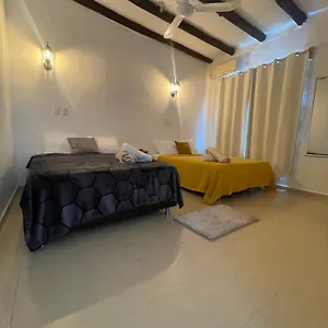 Casa Blue 